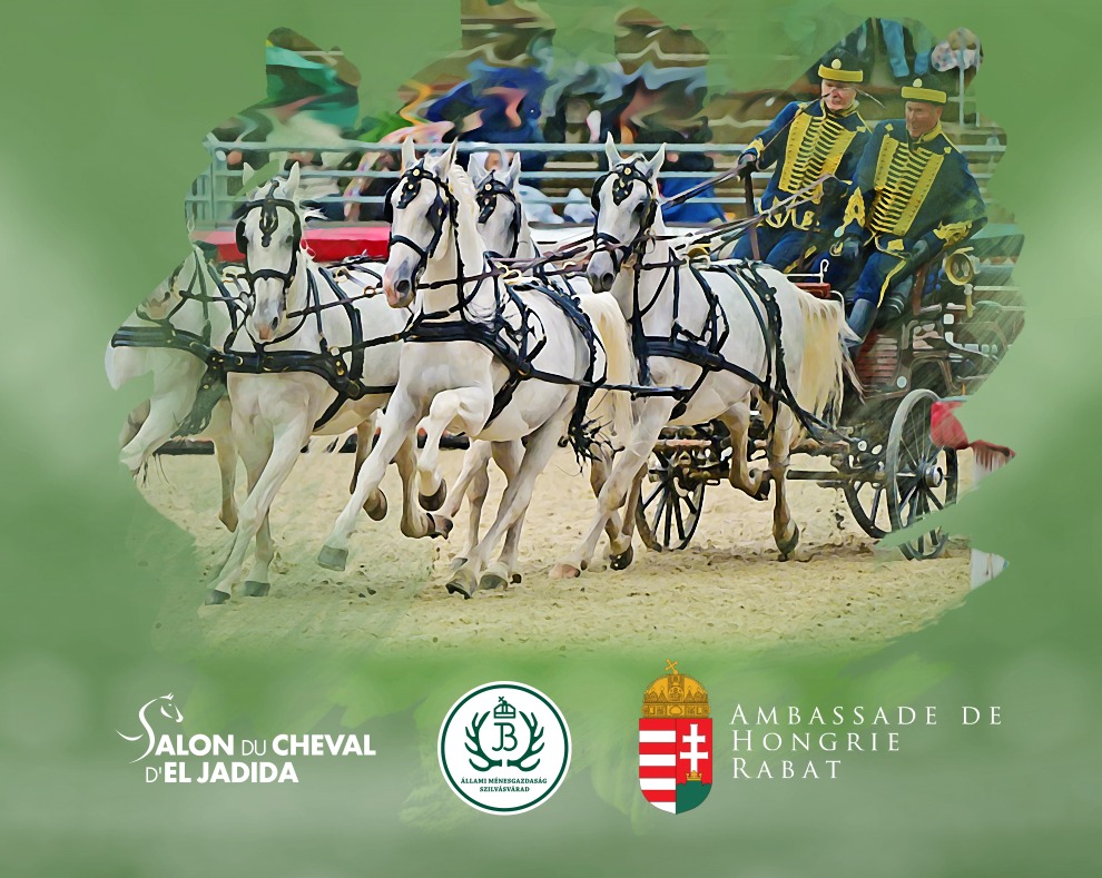 La Hongrie au Salon du Cheval d’El Jadida 